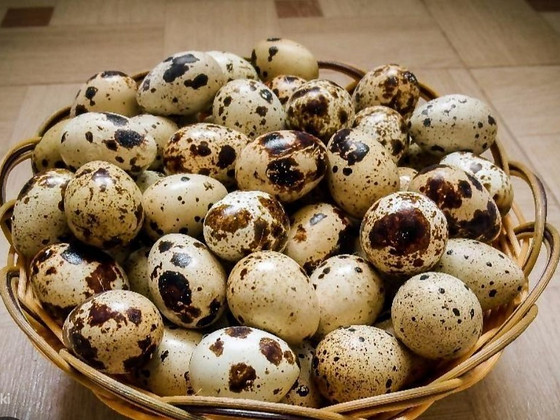 Լոր ինկուբացիոն ձու