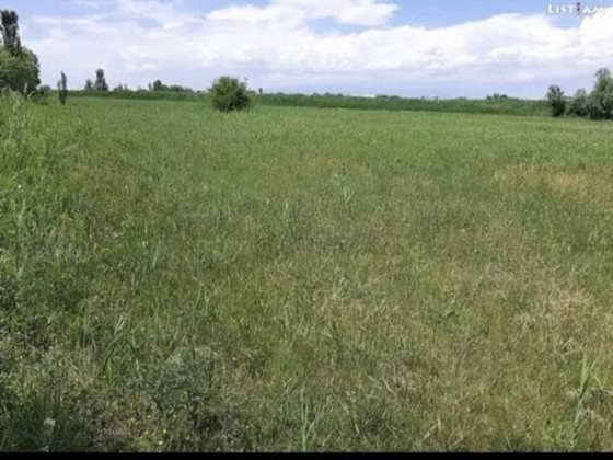 Земельный участок