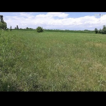 Հողատարածք