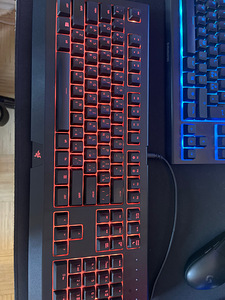 Razer Cynosa Chroma (6 фото из 6)