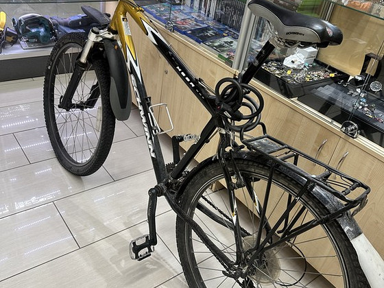 Jalgratas Schwinn Mesa GSX