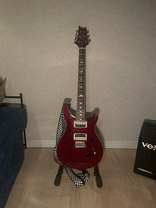 PRS SE Standard 24 + VOX VT20 + чехол Gator (3 фото из 8)