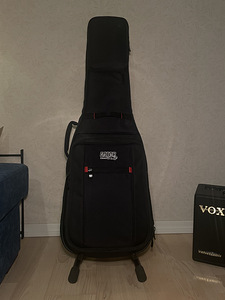 PRS SE Standard 24 + VOX VT20 + чехол Gator (5 фото из 8)