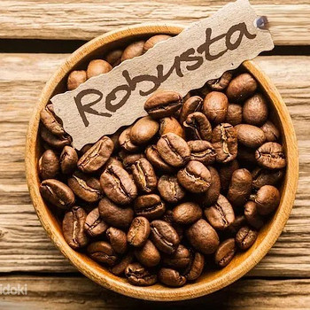 Արաբիկա սուրճ Coffee кофе robusta և ջազվե պատրաստում