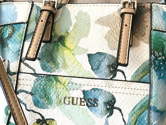 Guess kott