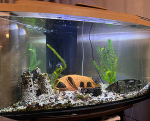 Akvaarum 150l (kasutamiseks valmis) (2 foto / 3)