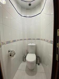 Пятикомнатная квартира (11 фото из 25)