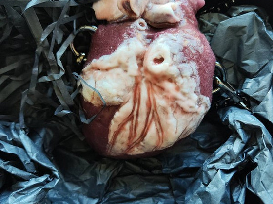 Silikoonist käekott anatoomilise südame kujuga