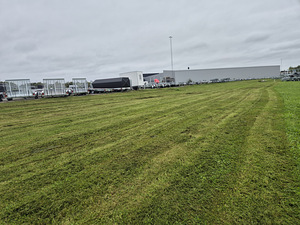 Кошение газона, вырубка кустарников/деревьев, мойка под давл (5 фото из 7)