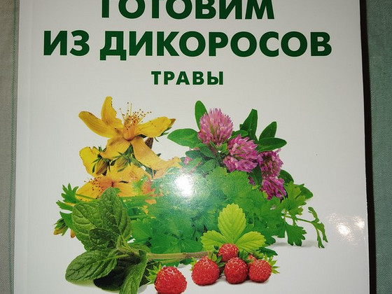Готовим из дикоросов.