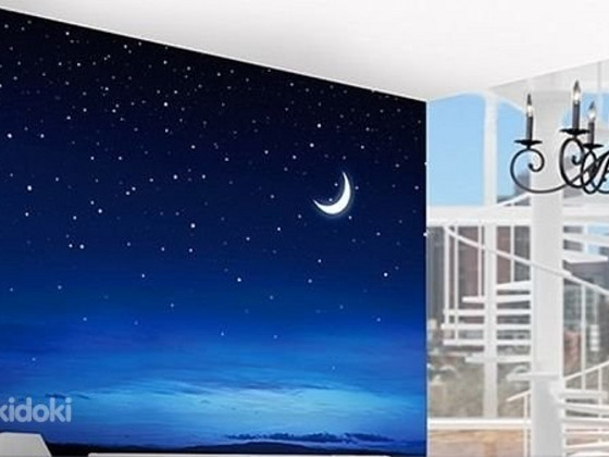 НОВЫЕ Фотообои Silent Night 280x200 см