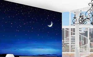 Uued fototapeedid Silent Night 280x200 cm (1 foto / 3)