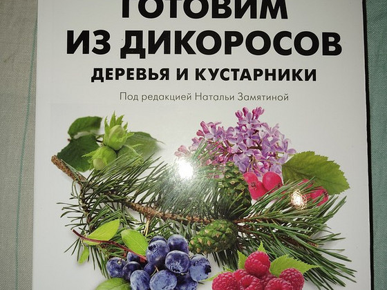 Готовим из дикоросов. Вишневский Михаил. Замятина Наталья.