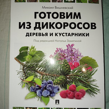 Valmistame metsikutest taimedest. Mihhail Višnevski. Natalja Zamatina.