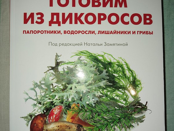 Готовим из дикоросов. Папоротники, водоросли, лишайники и гр