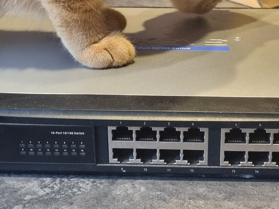 RS216 коммутатор (Cisco)