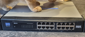 RS216 коммутатор (Cisco) (1 фото из 1)