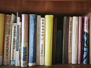 Книги (5 фото из 10)