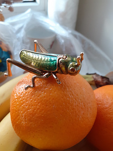 LOCUST HANDMADE САРАНЧА (2 фото из 9)