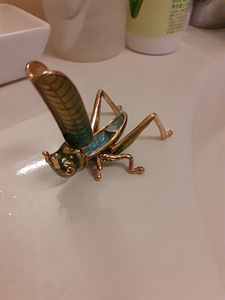 LOCUST HANDMADE САРАНЧА (7 фото из 9)