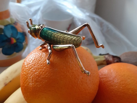 LOCUST KÄSITÖÖ SARANCA