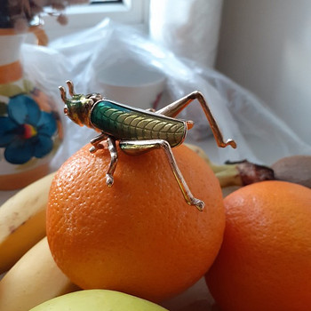 LOCUST KÄSITÖÖ SARANCA
