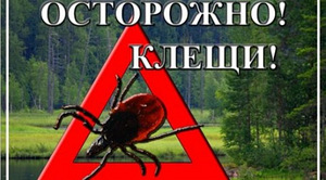 Обработка участков (1 фото из 4)