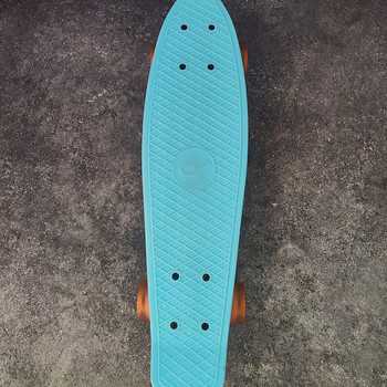 Penny board/ Пенниборд