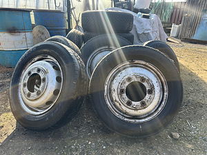 Ford Transit Veljed rehvidega 6 tk (2 foto / 4)