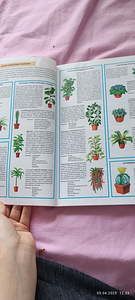 Книга (3 фото из 6)