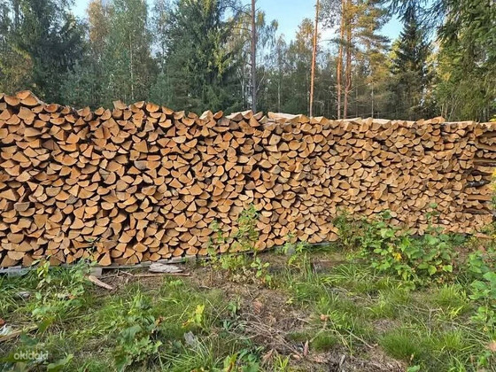 Küttepuud