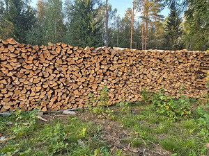 Küttepuud (1 foto / 1)