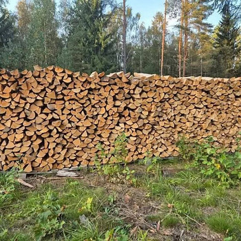 Küttepuud