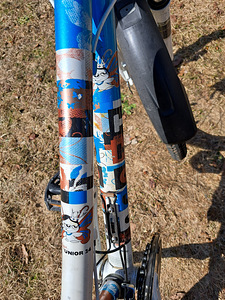 Tüdrukute jalgratas Scott Contessa JR 24 tolli (2 foto / 7)