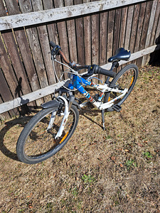 Tüdrukute jalgratas Scott Contessa JR 24 tolli (7 foto / 7)