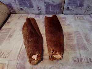 Nutria nahad 2tk (1 foto / 2)