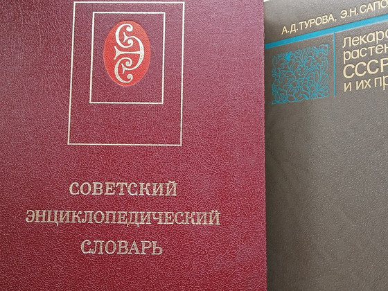 ЭНЦИКЛОПЕДИЧЕСКИЙ СЛОВАРЬ