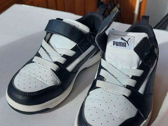 Puma tossud 31