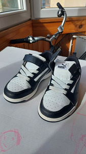 Puma tossud 31 (1 foto / 3)