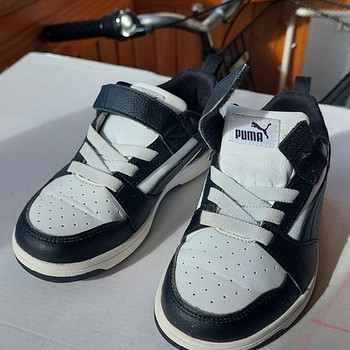 Puma tossud 31