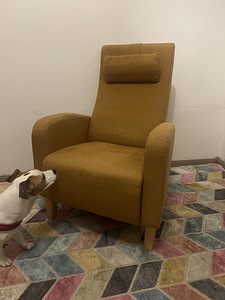 Tugitool, värskelt restaureeritud, vajab natuke puhastust (1 foto / 1)