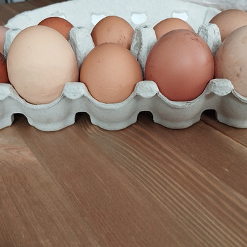 Яйца от куриц со свабодного выгула крупные.
