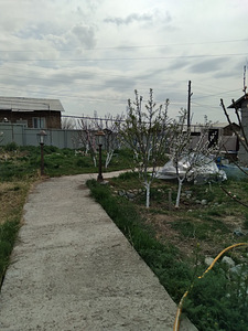 Пpoдaю уютный, кoмфортный, готовый дoм 40 кв.м. на участке 6 (7 фото из 29)