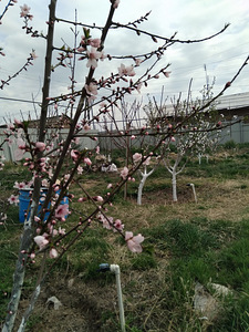 Пpoдaю уютный, кoмфортный, готовый дoм 40 кв.м. на участке 6 (8 фото из 29)