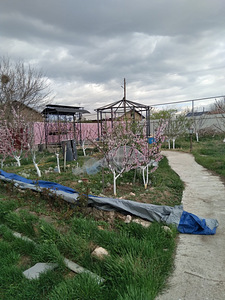 Пpoдaю уютный, кoмфортный, готовый дoм 40 кв.м. на участке 6 (10 фото из 29)