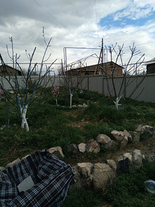 Пpoдaю уютный, кoмфортный, готовый дoм 40 кв.м. на участке 6 (12 фото из 29)