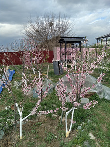 Пpoдaю уютный, кoмфортный, готовый дoм 40 кв.м. на участке 6 (13 фото из 29)