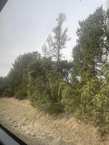 Osaajaga töö 14-aastastele (1 foto / 1)
