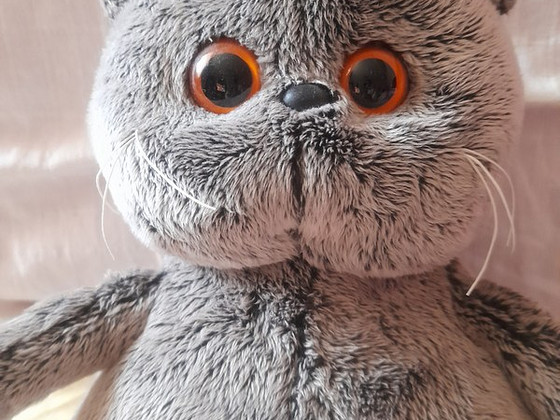 Кот BASIK
