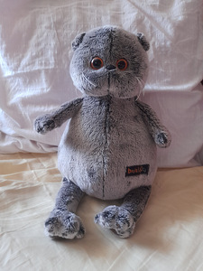Кот BASIK (6 фото из 8)